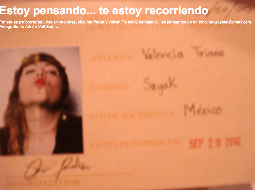 feministaldia_2010_sayak_valencia