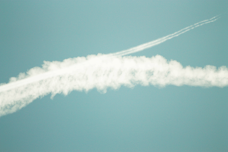 feministaldia_2011_bitamine